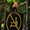 Malpa kapucinska - Cebus capucinus - White-headed Capuchin o0407